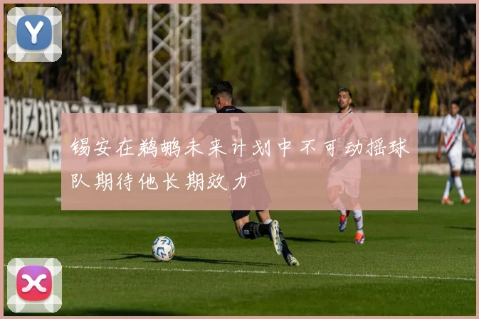 锡安在鹈鹕未来计划中不可动摇球队期待他长期效力